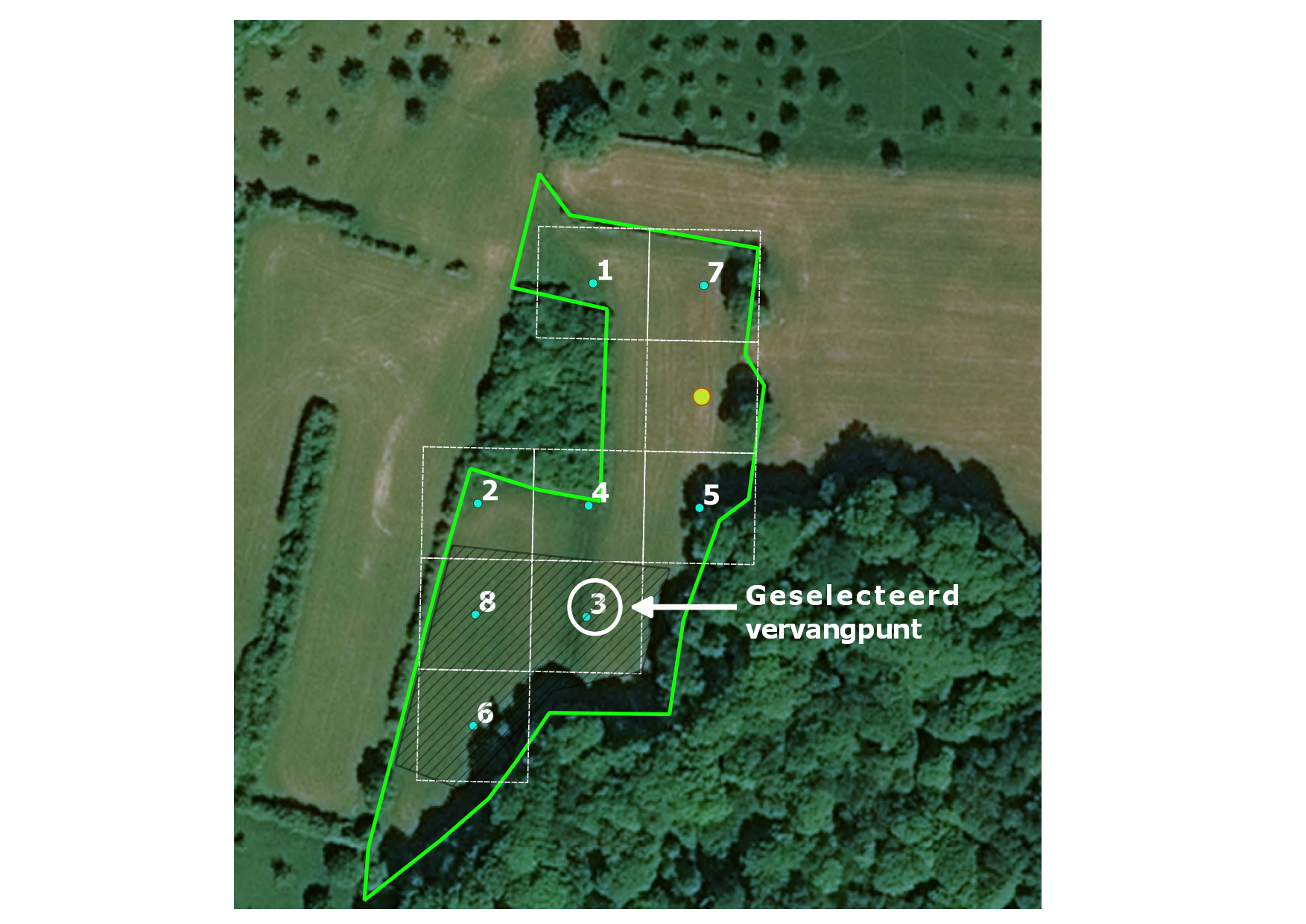 De geselecteerde steekproefeenheid (met gele centroïde) is niet geschikt. Na kartering van het doelhabitat (gearceerde polygoon), wordt de rastercel met laagste rangnummer waarvan de centroïde binnen het doelhabitat ligt geselecteerd