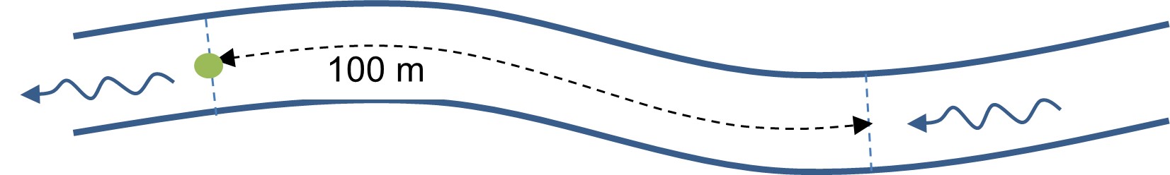 Schematische voorstelling van het te inventariseren 100 m-traject, met aanduiding van het steekproefpunt (groene bol) en stroomrichting