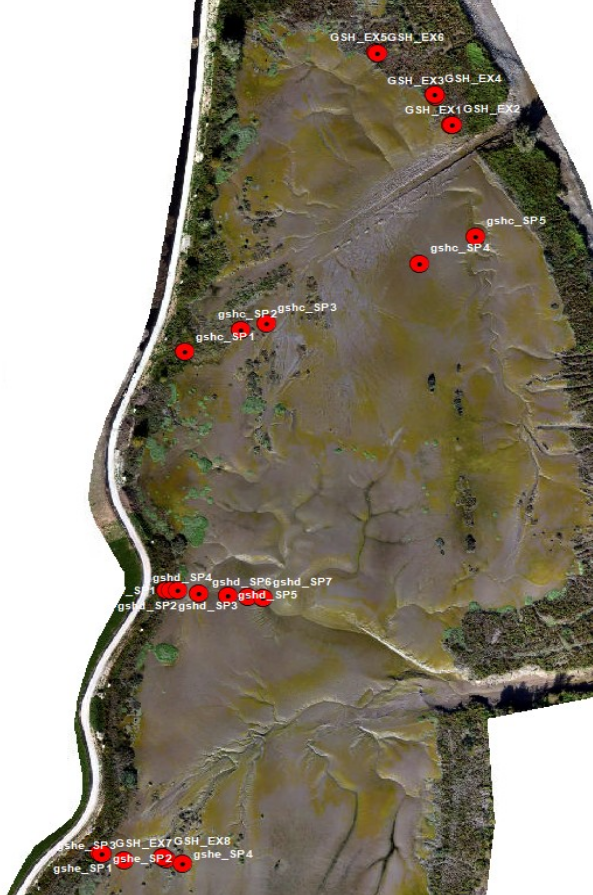 Staalnamepunten in Groot Schoor Hamme.